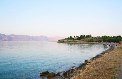 Seaside Garden Galaxidi - Photo 5