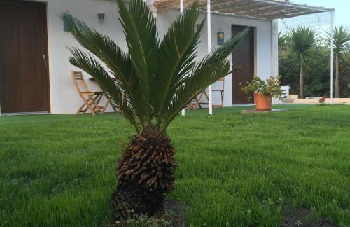 Agriturismo Adenzia - Foto 18