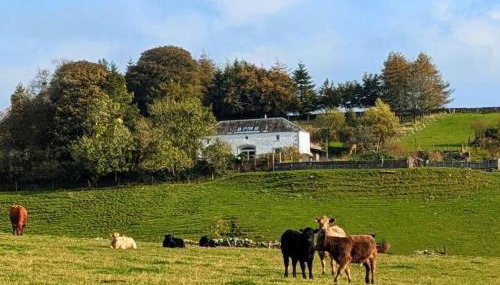 The Coach House at Durhamhill with llamas & games room mini cinema - Foto 2