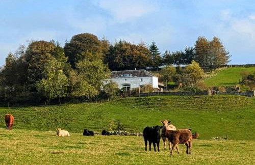 The Coach House at Durhamhill with llamas & games room mini cinema - Foto 2