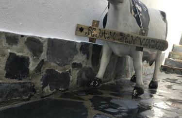 Casinha da Estrela - Foto 10