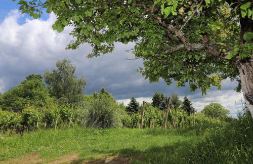 Kuća u prirodi, wellness oaza Kalimera - Foto 18