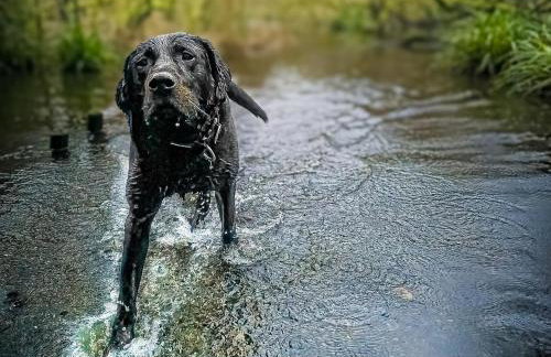 2 Bed in Helston oc-54556 - Foto 14