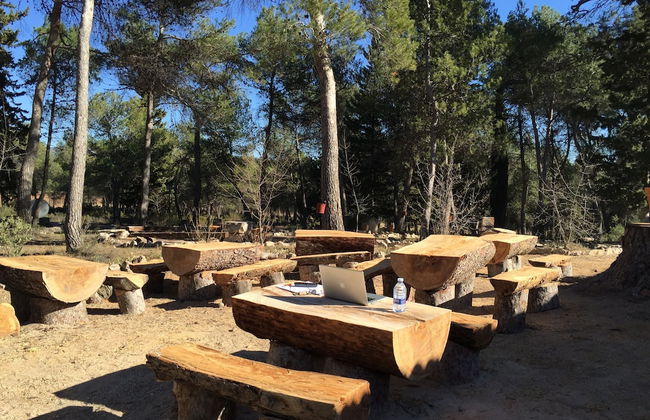 Masia La Safranera - Foto 50