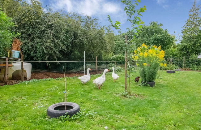 Sevenig Our Family Farmhouse - Foto 31