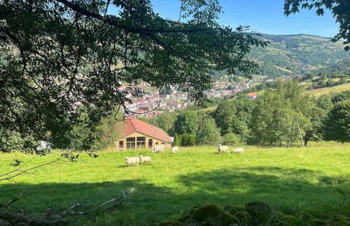 Aux Sources - 14 personnes - sauna & jacuzzi - Photo 1