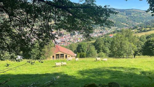 Aux Sources - 14 personnes - sauna & jacuzzi - Foto 1