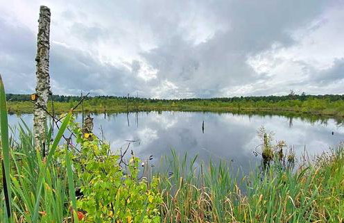 MY HOME AM HEUBERG Nr 6 - Foto 24