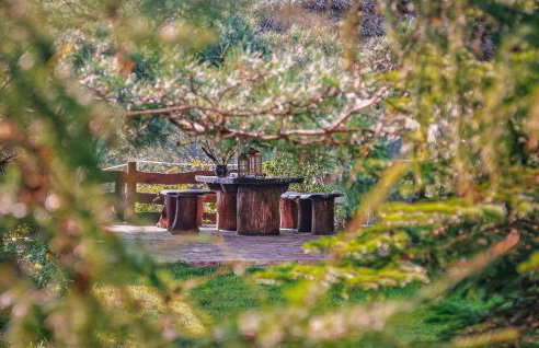 Gorgeous Home In Sarnikierz - Foto 14