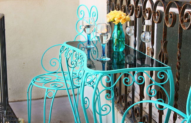 Maltese Maltese - Foto 59