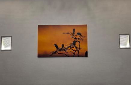 Ferienhaus Kamerun an der Elbe - Foto 36