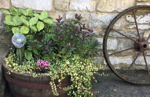 The Horse Barn - Foto 8