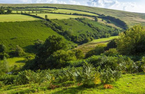 Hillway Lodge Withypool - Foto 13