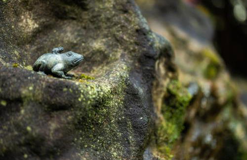 Gartenfewo - Foto 37