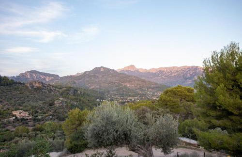 OLIVAR de S’HERETAT Trekking/ruta GR-221 (ETV/2099) - Foto 25