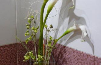 Apartamentos La Condesa - Foto 9