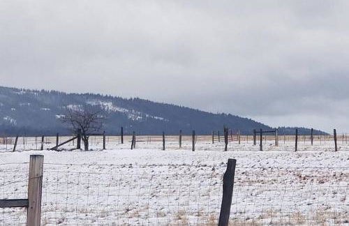 House on the Camas Prairie (in town) - Foto 11