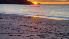 Villa Luna sul mare calabria - Foto 5