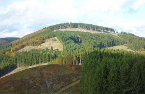 Ferienwohnung im Sauerland Hillside - Foto 58