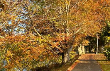 Robins' Rest - 22 Caer Beris Luxury Lodge Park NEW Sleeps 6 Riverside Reteat - Foto 18