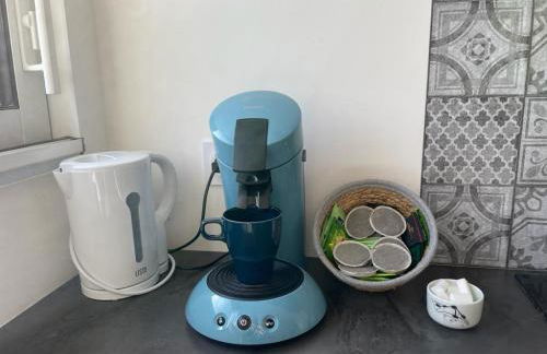 Le GREEN'SPA - DIJON - SPA-jardin-parking privé - Foto 24