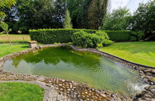 Lieblingsort am Moor - Foto 8