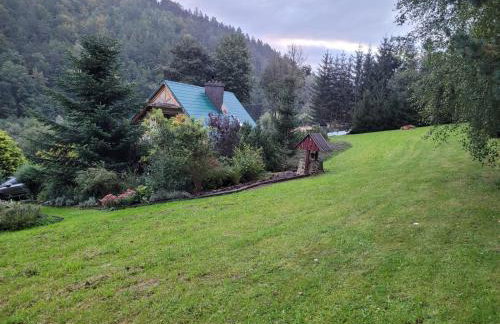 Dom w Górach Sowich Niedźwiedzia Gawra, Michałkowa - Foto 2
