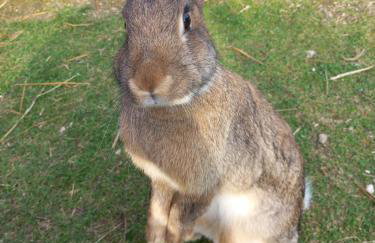 Dolina Sosny - Foto 27