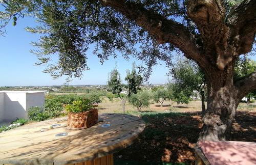 il borghetto in valle d'itria - Foto 11