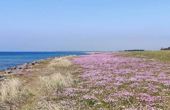 10 Person Holiday Home in Marstal - Foto 33