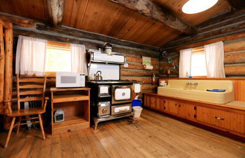 The Cabins at Historic Columbine - Foto 74