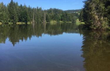 Apartmán Frauenberg - Haidmühle - Foto 24