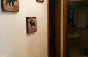 Lozzo di Cadore - Dolomiti (Piazza Tiziano) - Photo 3