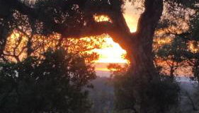 Casa ATMAN - Foto 5, Garden view