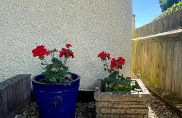 3-bed cottage in Sway, New Forest (5 min walk from Sway Train Station) - Foto 48