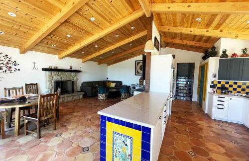 Hilltop Vineyard and Agave Field with View - Photo 16