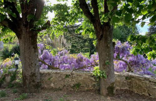 Le château La Villaine Magnifique château au cœur de la Touraine - Foto 10