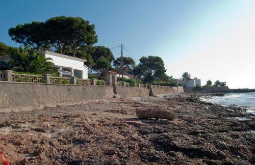 Sargantana Blava - Foto 66