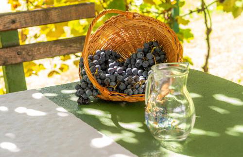 Kuća za odmor Mažuran - Foto 62