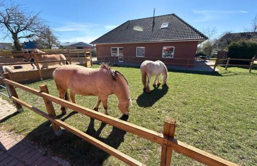 Bauernhof Claussen Fehmarn - Foto 66