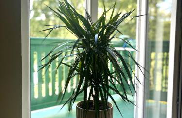 Apartament w zabytkowym budynku - Foto 18