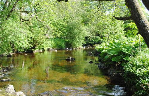 Riverside House - Foto 27