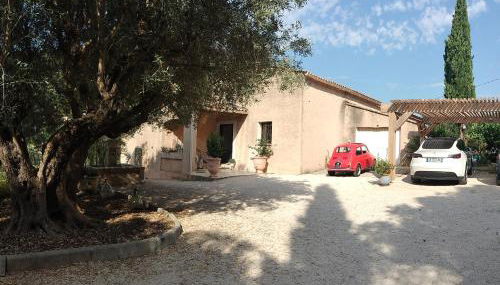 Les 3 petits oiseaux - Foto 2