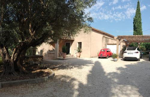 Les 3 petits oiseaux - Foto 2