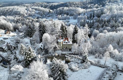 Zamek Przesieka - Foto 38