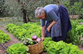 Agriturismo Guthiddai - Foto 67