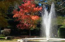 FRONTE DUOMO - Foto 26