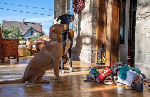 Maple House Large Vacation Home, Sleeps 7 Pet Friendly Great Location - Foto 9