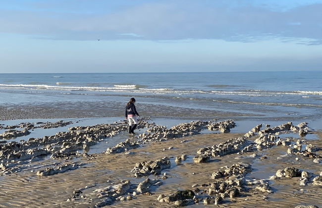 Parc Beausejour Dieppe - Foto 50