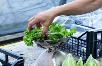 Agriturismo Biomatto - Foto 45